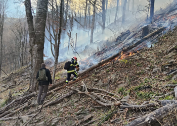 Incendiu de vegetație în zonă greu accesibilă. Pompierii se deplasează pe jos