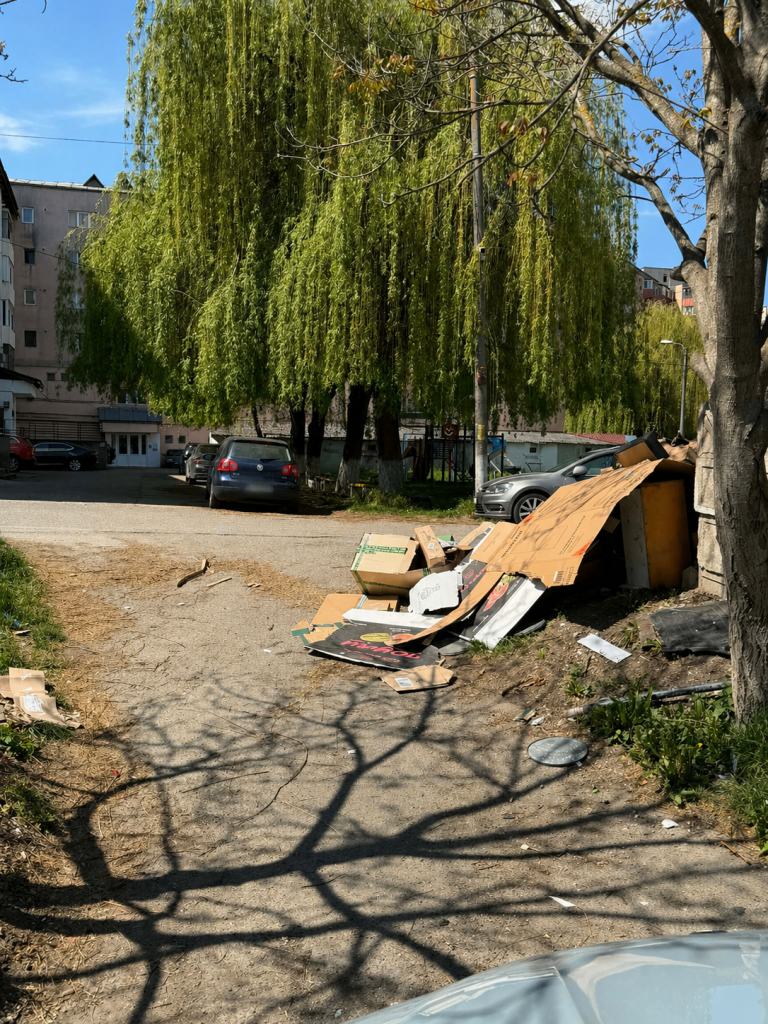 gunoi aruncat haotic Dej