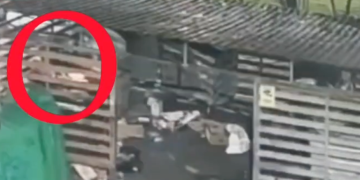 S-a jucat cu focul, la propriu. Arestat la Brașov pentru incendiere