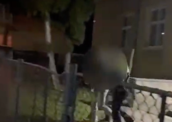 „Șofer” fără permis, reținut în Lăpuș. A lovit o femeie pe trecere și a fugit