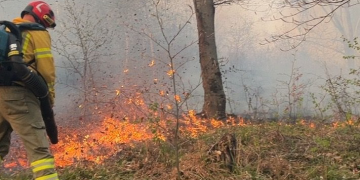 Incendii de vegetație în Bihor: 40 de hectare afectate, păduri în pericol