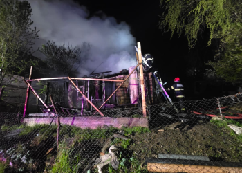 Intervenție cu dificultate. Incendiu în Luna, Cluj