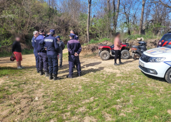 Berchiș David Viorel