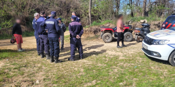 Berchiș David Viorel