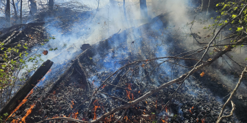Incendiu de vegetație în Mărișel: peste 5 hectare afectate. Intervenție dificilă în zona montană