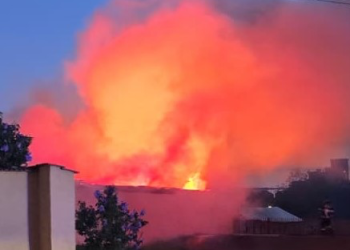 Locuință, depozit și animale salvate de pompierii bihoreni