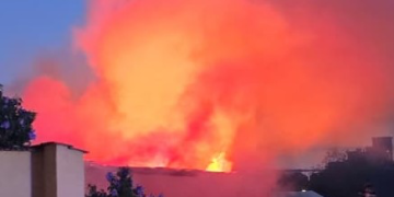 Locuință, depozit și animale salvate de pompierii bihoreni