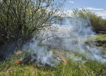 incendii