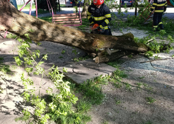 Copacii dau bătaie de cap pompierilor din Târgu Mureș. Încă o intervenție, pe strada Mărăști