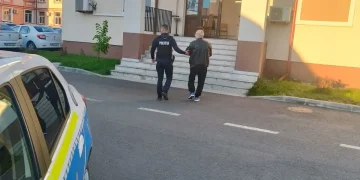 violență în familie