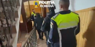 droguri