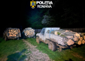 Prinși în flagrant. Tăiere ilegală și furt de arbori în Sibiu