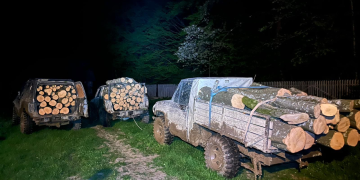 3 tineri prinși în flagrant. Tăiere ilegală și furt de arbori în Sibiu