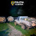 3 tineri prinși în flagrant. Tăiere ilegală și furt de arbori în Sibiu