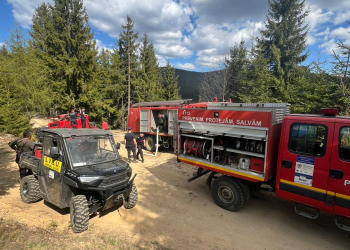 Incendiul de pădure între Valea Bistriții și Albac nu se oprește. Aproximativ 6 hectare afectate