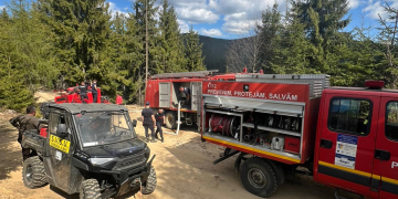 Incendiul de pădure între Valea Bistriții și Albac nu se oprește. Aproximativ 6 hectare afectate