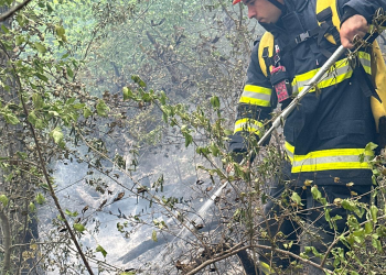 Intervenția continuă în zona împădurită dintre Șuncuiuș și Vadu Crișului. Focarele s-au reaprins