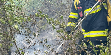 Intervenția continuă în zona împădurită dintre Șuncuiuș și Vadu Crișului. Focarele s-au reaprins