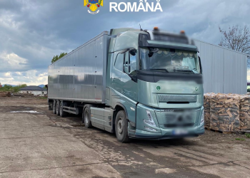 Camion de 190.000 de euro, indisponibilizat în Cluj. Nereguli la transportul de lemn