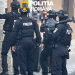 perchezitii