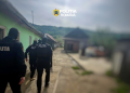 Acțiune