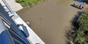 Târnava Mare