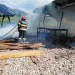 incendiu