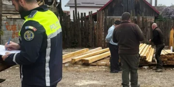 Aproape 400 mc de lemn, confiscați în urma unei acțiuni a polițiștilor din Brașov