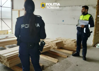 Aproape 400 mc de lemn, confiscați în urma unei acțiuni a polițiștilor din Brașov