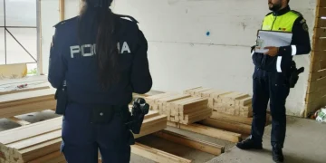 Aproape 400 mc de lemn, confiscați în urma unei acțiuni a polițiștilor din Brașov