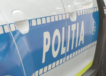șofer