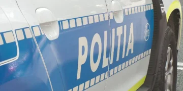 șofer