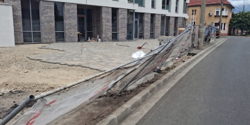 Vântul puternic, pagube în Oradea. O femeie rănită și un copac răsturnat peste o mașină