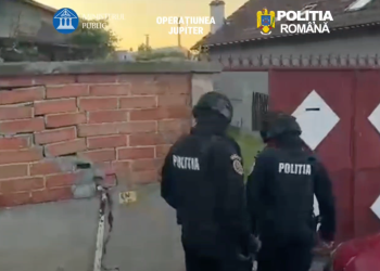 perchezitii