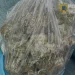 droguri