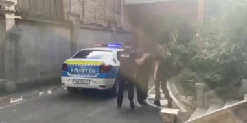 ordin de protecție