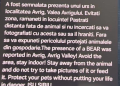 valea avrigului