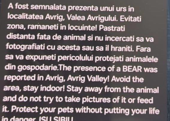 valea avrigului