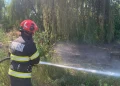 incendiu