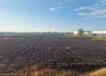 Incendiu puternic în Satu Mare. Lanuri de grâu așezate între 2 centre comerciale s-au mistuit