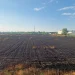 Incendiu puternic în Satu Mare. Lanuri de grâu așezate între 2 centre comerciale s-au mistuit