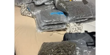 canabis