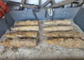 Pirotehniștii ISU Cluj au găsit 14 proiectile din Al Doilea Război Mondial la Mihai Viteazu