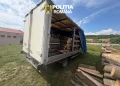 Transport ilegal de material lemnos pe DN1. Peste 6 metri cubi confiscați de polițiștii din Voila