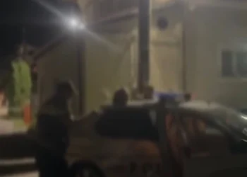 Polițiștii au reținut doi bărbați după amenințări la adresa jandarmilor și polițiștilor la Târgul Coaselor din Negreni