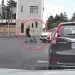 accident