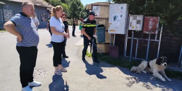Acțiune pentru gestionarea câinilor cu și fără stăpân în 8 comune din județul Cluj