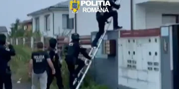 percheziții