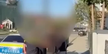 targu lapus