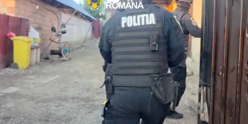VIDEO | 10 percheziții în Brașov. 3 pădurari reținuți într-un dosar privind furturi de lemne